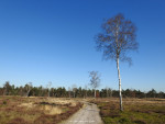 Sallandse Heuvelrug